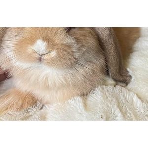 Meet your Posher, Ely